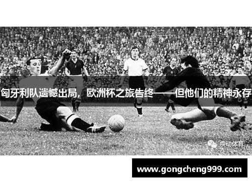 匈牙利队遗憾出局，欧洲杯之旅告终——但他们的精神永存